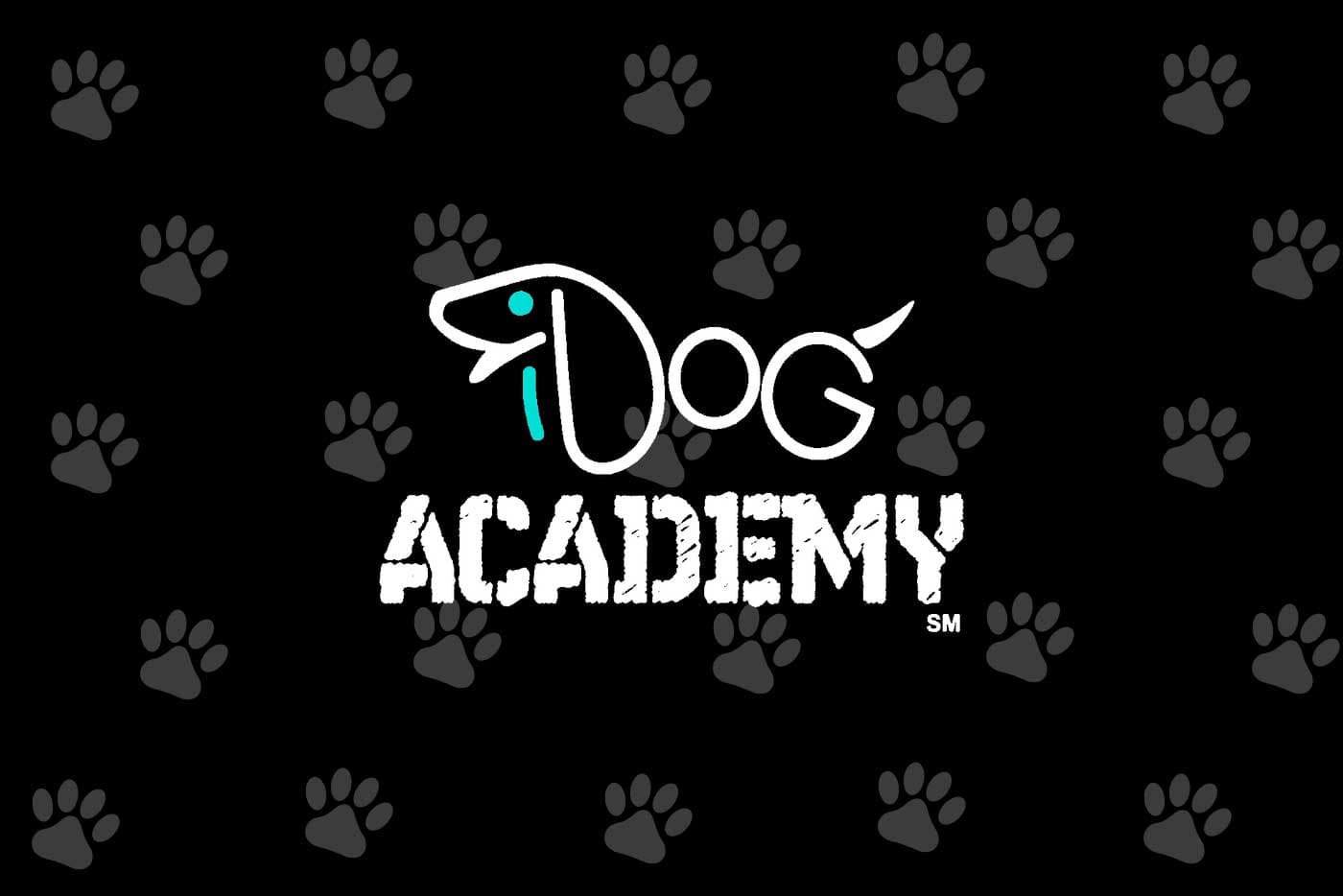 iDog Academy trainers working with dogs in Miami