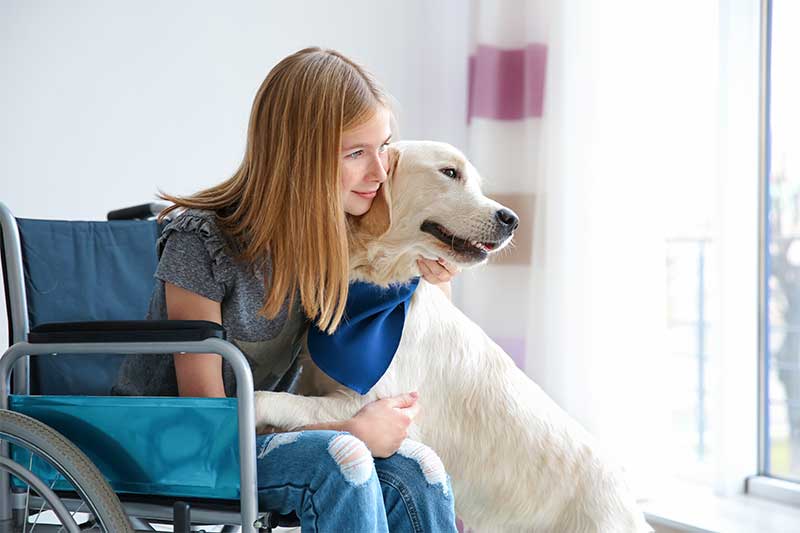 Mobility service dog training in Miami
