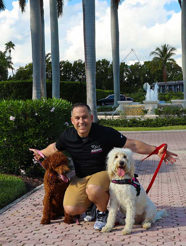Alex Alvarez training a dog in Miami